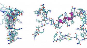 What is a Peptide and How Does It Help Your Skin?